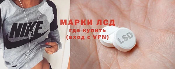 стафф Новокубанск