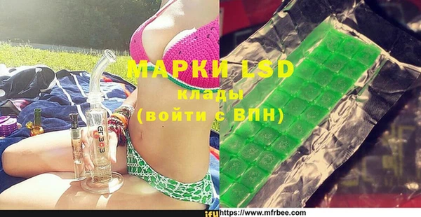 СК Новодвинск