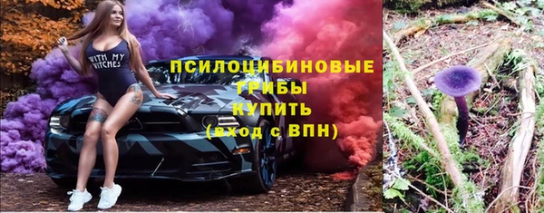 стафф Новокубанск