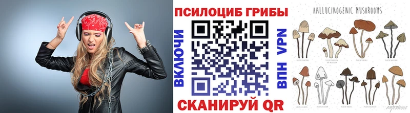 мега ТОР  Поворино  Псилоцибиновые грибы прущие грибы 